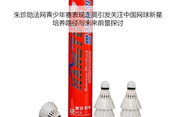 朱珍勋法网青少年赛表现走高引发关注中国网球新星培养路径与未来前景探讨