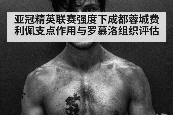 亚冠精英联赛强度下成都蓉城费利佩支点作用与罗慕洛组织评估